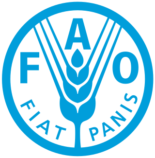 Fiat Panis